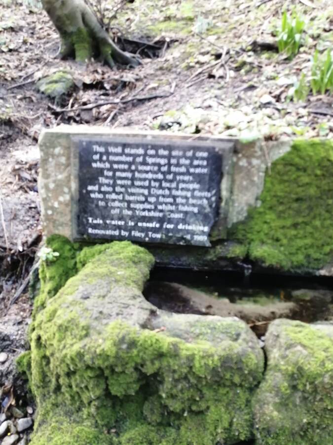 Narural Spring on Church Ravine